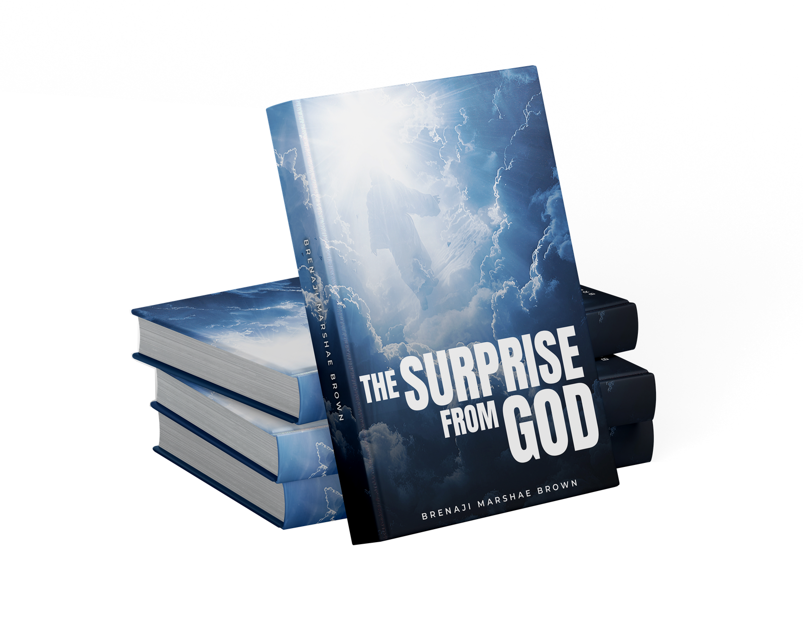 The Surprise From God by Brenaji Marshae Brown